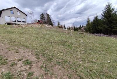Teren intravilan in Izvoru Muresului (str. Principala) - 4