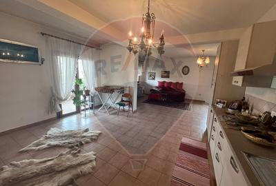 Casa - plantatie aluni  41300mp - 7