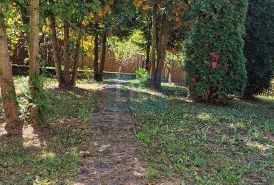 Vila spațioasă 5 dormitoare, Provita de Jos - 3