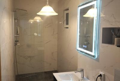 Apartament 2 camere - Ultracentral - P-ta Unirii - 9