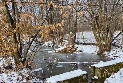 Moșia cu casa în vârf de deal, Scorțeni - Prahova, comision 0% - 13