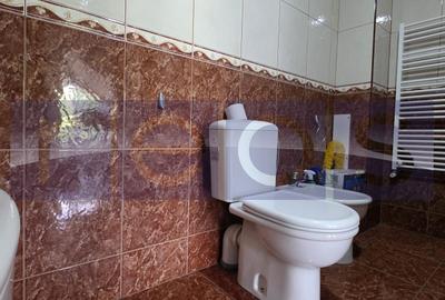 VANZARE CASA 7 CAMERE | PISCINA ACOPERITA | ZONA VATRA LUMINOASA - 25