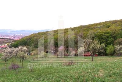 Teren intravilan | De vanzare | 1808 mp | 18 ml deschidere | Seigau - 6