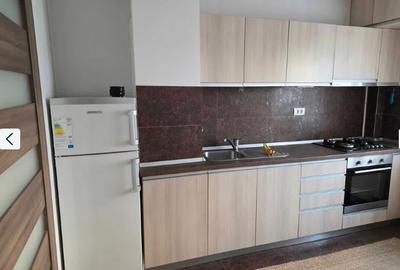Apartament 2 Camere,Tineretului,Metrou, PARC, Mobilat Utilat, DECOMANDAT. 60mp - 4