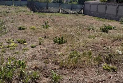 Teren intravilan 750 mp - Kamsas/Tomis Nord - 210.000 euro (Cod E6) - 4