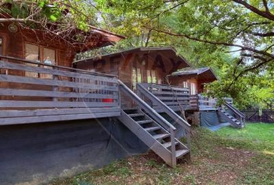 Ansamblu de 7 Căsuțe de Vacanță, Ocna Șugatag - 3