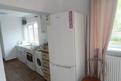 Casa de inchiriat cu 2 camere, mobilata si utilata, curte, Alba Iulia - 8