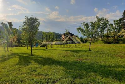 Teren cu PUZ - Tabara de Vacanta + Constructie Tiny Hous |  10 Cabane A-Frame - 3