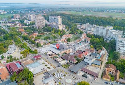 Spațiu versatil pentru business în Băile Felix - 19
