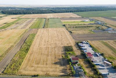 Pensiune in Arad (Vladimirescu) pe DN7 - 19