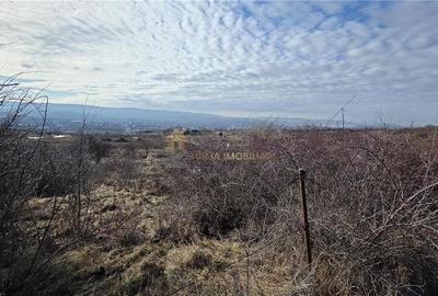 TEREN INTRAVILAN 590 MP  | 2 FRONTURI 17 MP | ZONA CARTIER  VORONET - 4