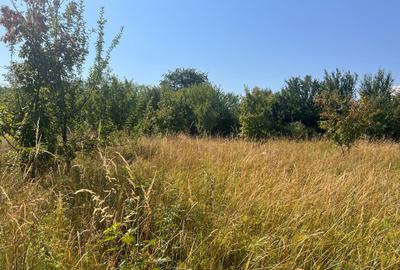 Teren cu PUZ zona strazii Macesului, ideal constructie casa - 1