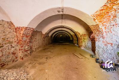 Vila Conac boieresc contelui Fabia 1920 de vânzare Păuliș Arad 2,4 ha - 15