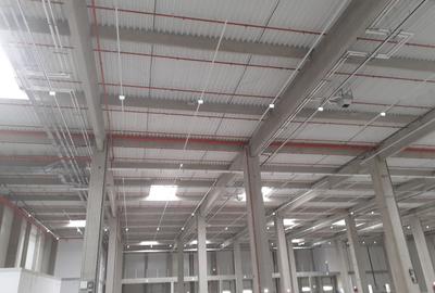 Depozite construite conform cerintelor / Warehouses build to suit - 5