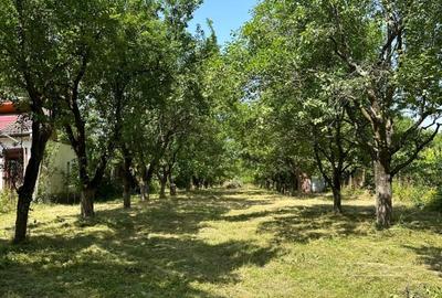 Teren intravilan 1915mp de vanzare zona Tocile (Sibiu) 16,5m deschidere - 5