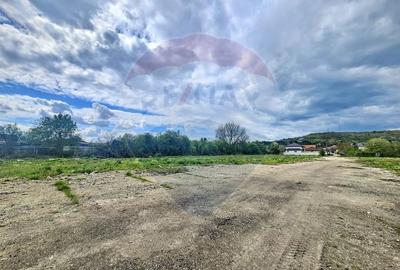 Teren intravilan 36.812 mp | Aiud, str. Izvorului | Alba - 3