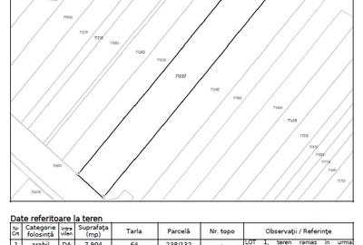 Teren intravilan DN7 Lungulețu – 28.331 mp – ideal hale agricole - 4