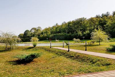 Proprietate Deosebita - Liziera Padurii - 54