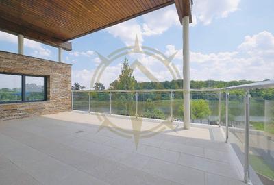 DOM00289 - Vila de inchiriat cu piscina si teren 1000 mp - 8