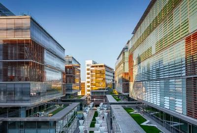 Birou, 1500 mp în Cetății