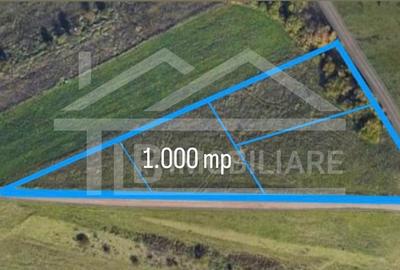 Teren Construcții intravilan de 1000 mp, în Belvedere