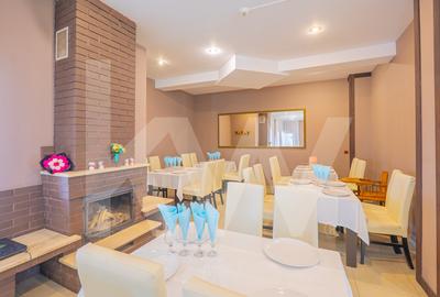 Afacere la cheie, pensiune-restaurant-terasa-14 unitati de cazare-Transfagarasan - 3