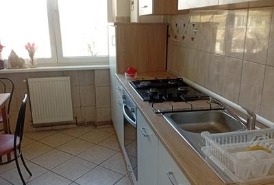 De inchiriat apartament cu 2 camere Podgoria - 4