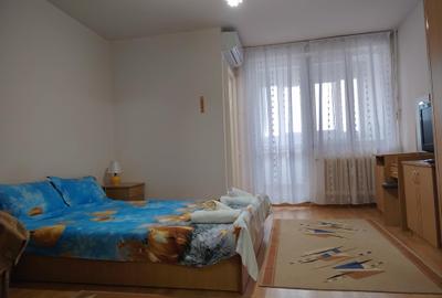 Garsoniera Brazda lui Novac - Doljului - 4