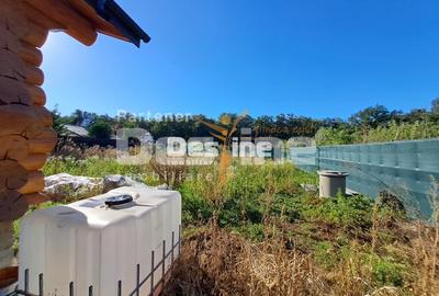 Ciurbesti - Miroslava, Cabana de lemn 117mp, 109.900 euro - 8
