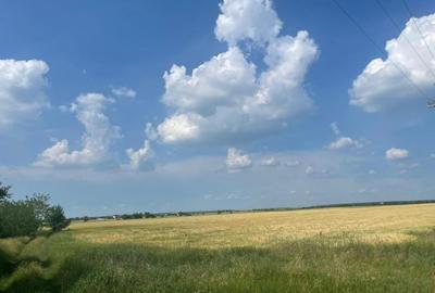 Vanzare teren intravilan Cernica_Tânganu, lot 954mp - 12