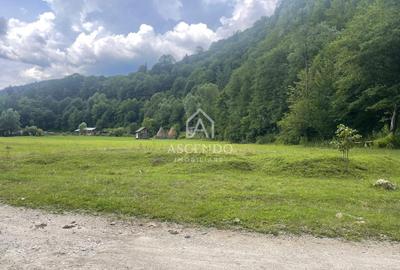 Teren Investiție Turistică Dâmbovicioara Baranga | 4.500 mp - 2