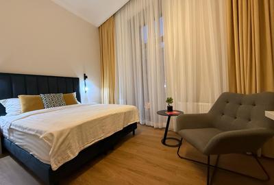 Afacere - Apartament in vila funcțional AirBnb - 10