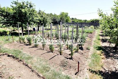 Teren intravilan 1.300 mp.zona Belvedere Targu Mures - 3