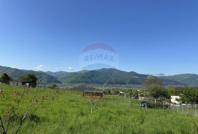 Teren Bistrita / Plopusor - 2