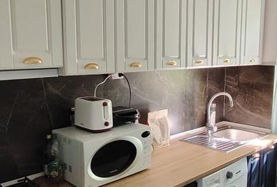 Apartament 2 camere de inchiriat, 45mp, Podu ros, Cantemir, Cod: 162514 - 10