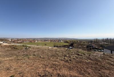 TEREN INTRAVILAN PANORAMIC DE VANZARE 5600 MP, CETATE, ALBA IULIA - 3