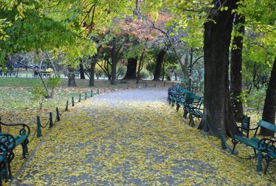 Sala Palatului - Parc Cismigiu - Calea Victoriei - 2