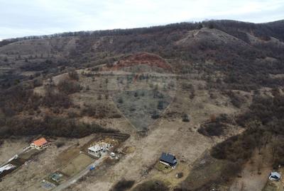 Teren 999 mp. Front 15,70 ml. Valea Garbaului - Floresti - 17