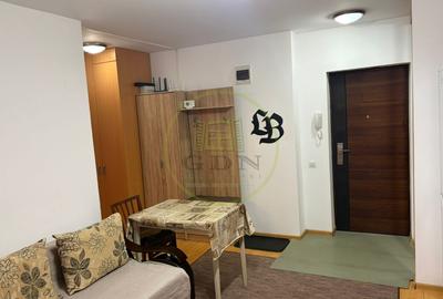 Apartament 2 camere de inchiriat-Zona Doamna Stanca - 3