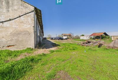 Spațiu industrial, rampă și acces la calea ferată - 11