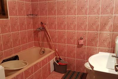 Casă de vacanță de vânzare în Feneșasa, Jud Alba | 125 mp utili | Teren 3.220 m - 3