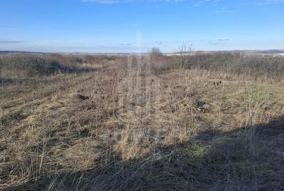 Teren Intravilan de Vânzare – 4300 mp – Cristian, zona Aeroport - 10