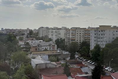 Teiul Doamnei - Maica Domnului - strada Otesani - 10 min metrou Obor - 11