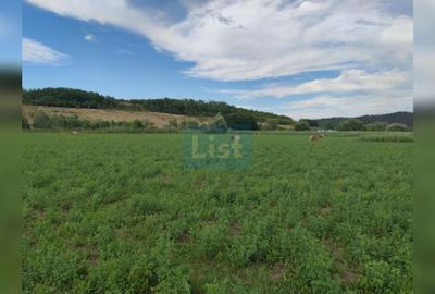 Comision %! Teren intravilan 22 400 mp, plan, sat Fundatura Cluj - 2