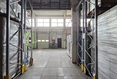 Spatiu industrial, hala, pana la 3500 mp, Buftea, 3.5 euro/mp - 1
