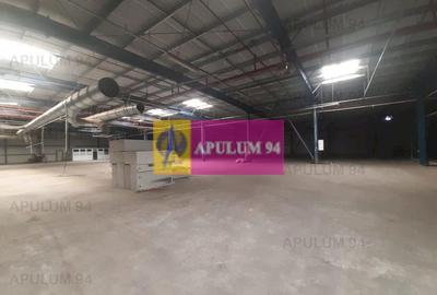 Spatiu Logistic langa Bucuresti Hala 5000 mp - 26