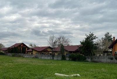 Ciolpani - spre Izvorani, str.Mihail Manolescu- 1500 mp - 3