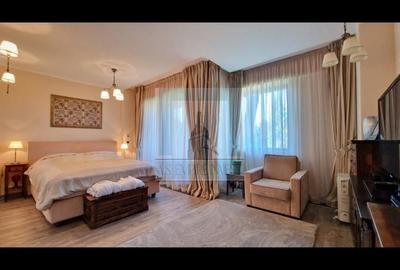 Apartament 2 camere/ Silver Mountain Resort & Spa - 7