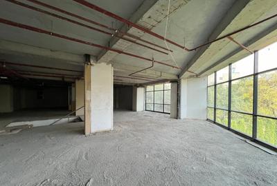 Spatiu Comercial la Mezan in Vad Stradal, Parc IOR, 10euro/mp - 4