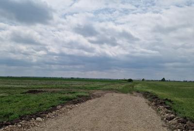 Vânzare teren 32.600 MP Intravilan Tarla 10–Ștefăneștii de Jos, Nod A3-A0 FS 56 - 5